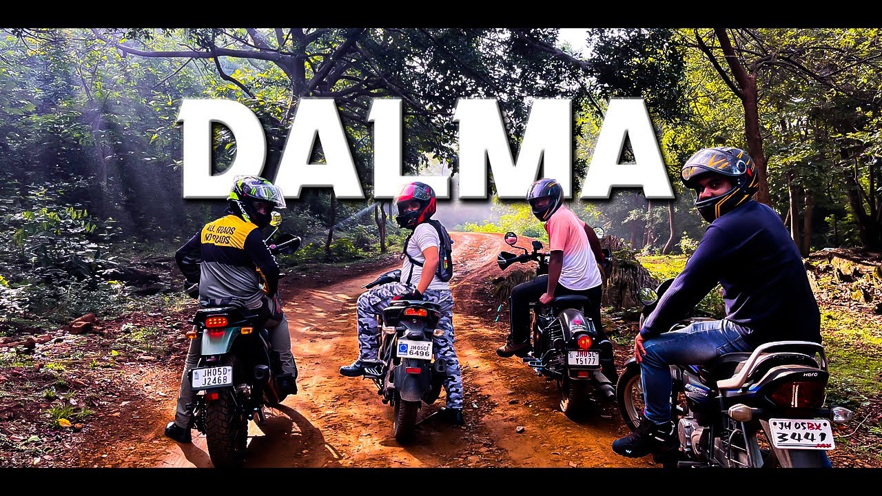 Dalma Wildlife Sanctuary: An Enchanting Escape into Nature's Lap