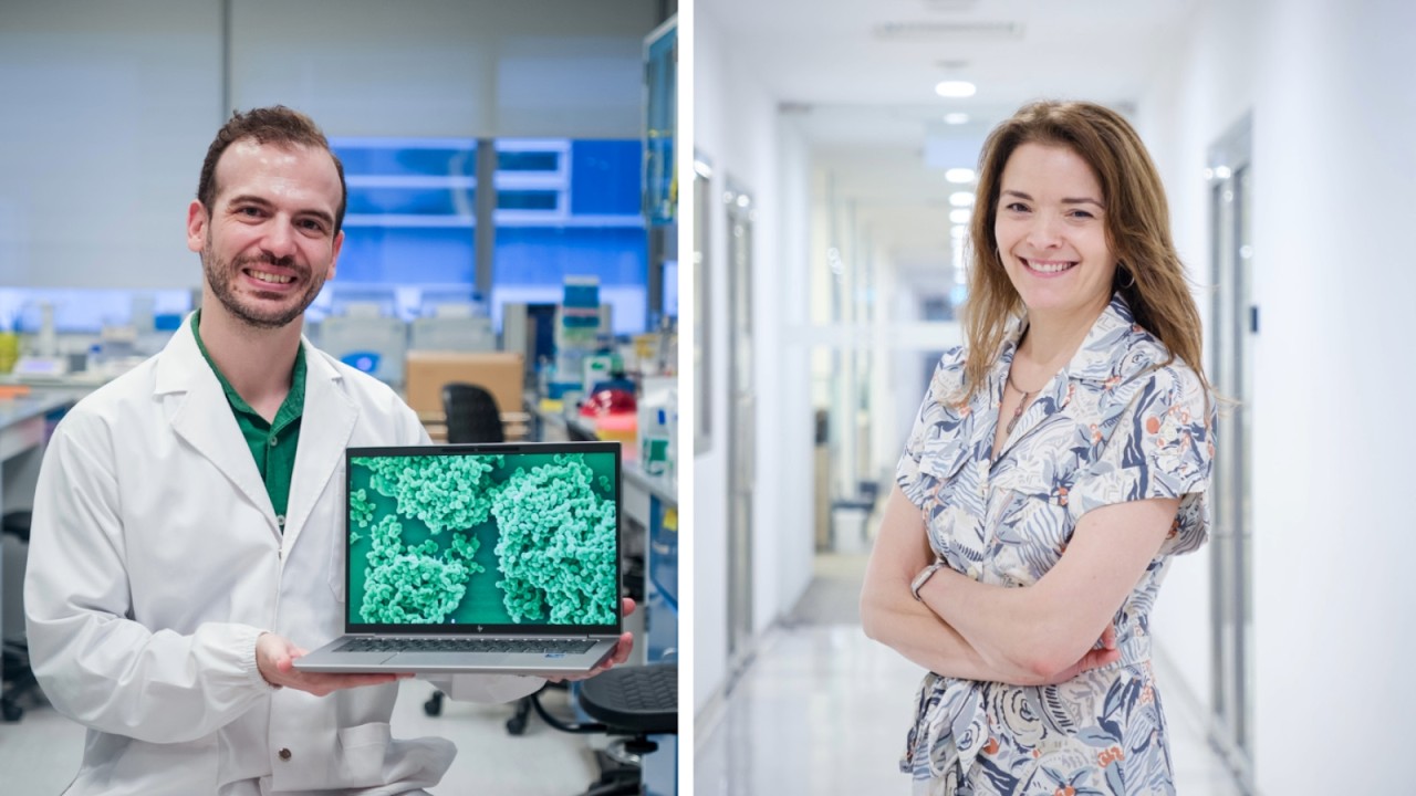 SCELSE-NTU and UNIGE scientists find that silencing bacteria can worsen heart infections