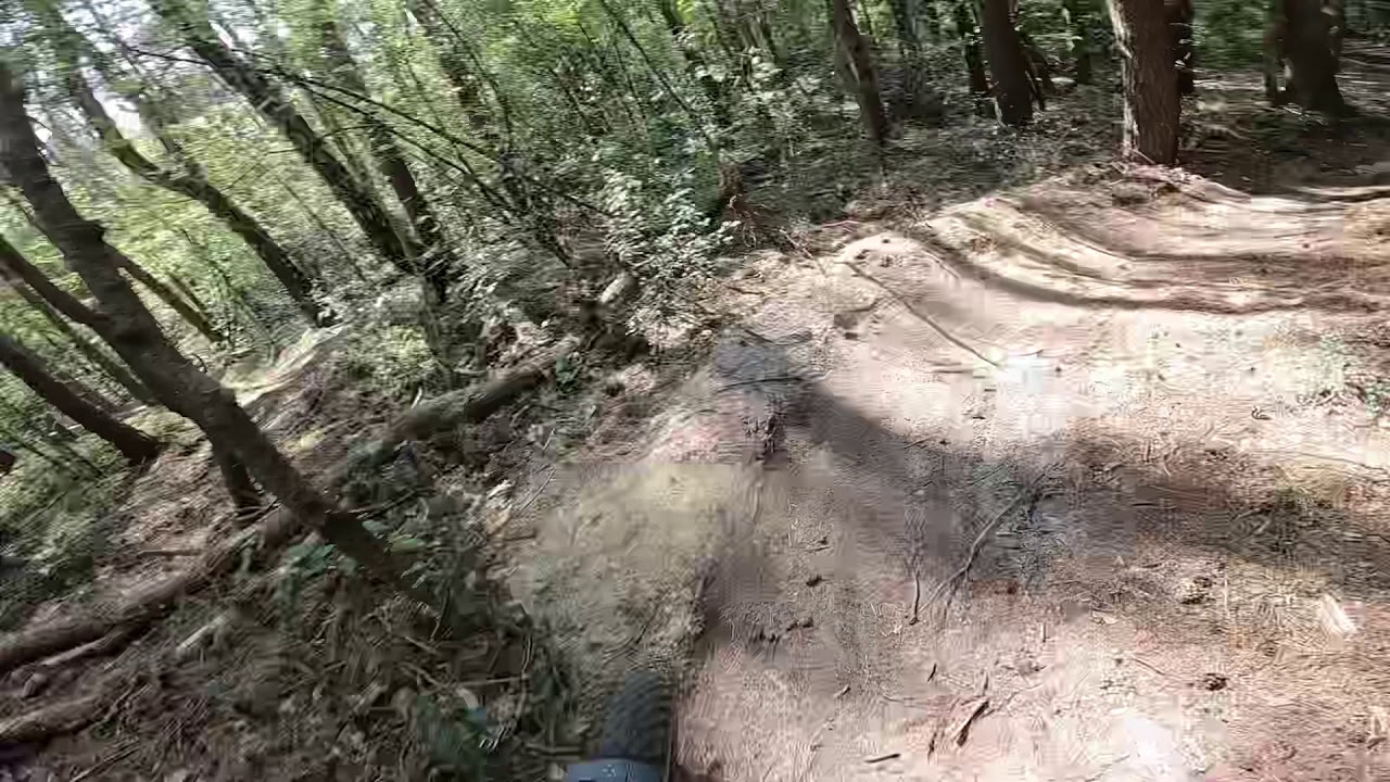 Riese & Muller Super Delite offroad test