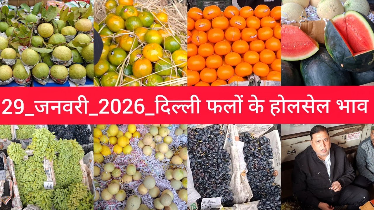 29 January 2026 दिल्ली फलों के भाव Delhi fruit market price APMC fruit market price #fruitmarket
