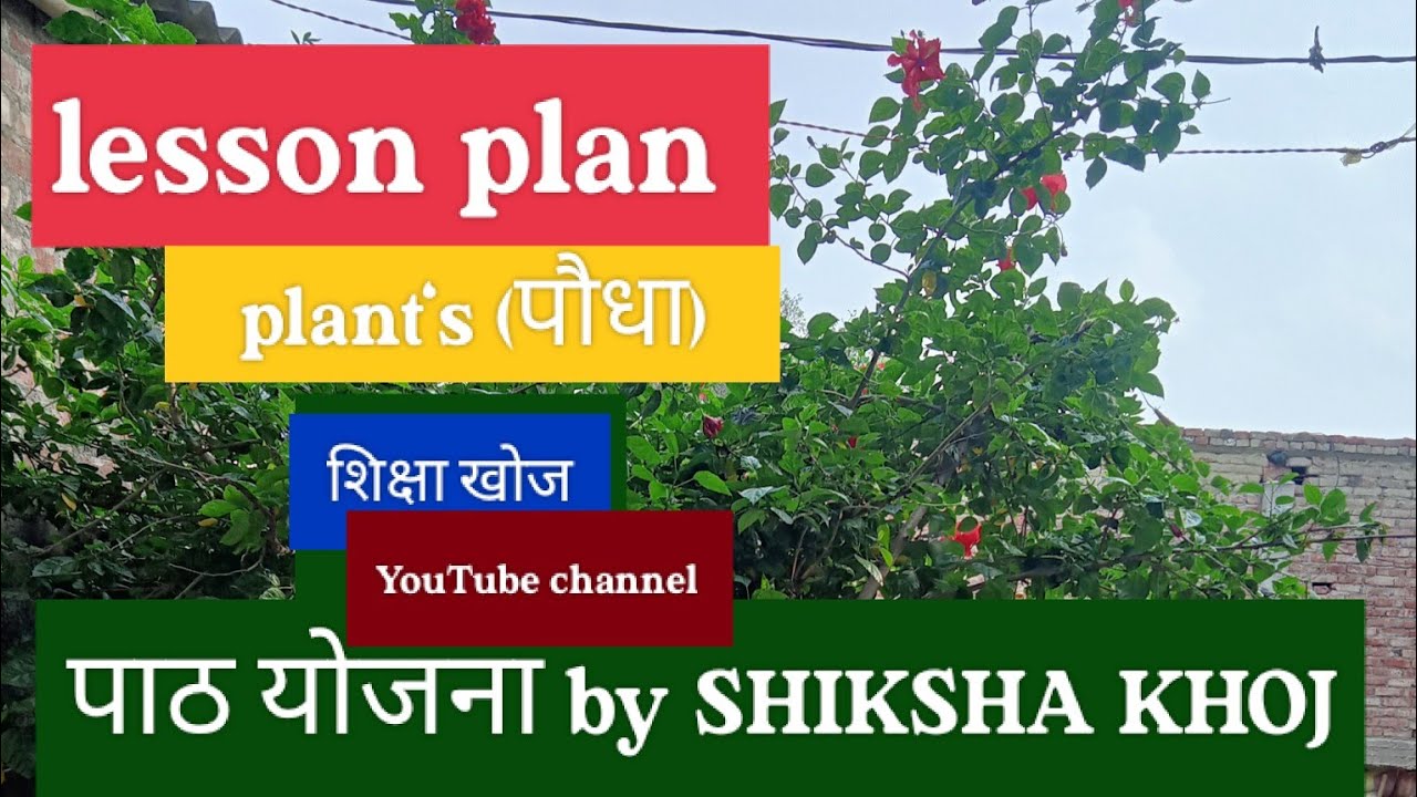 पाठ योजना। प्रकरण -पौधा।upbed। lesson plan @shikshakhoj.official