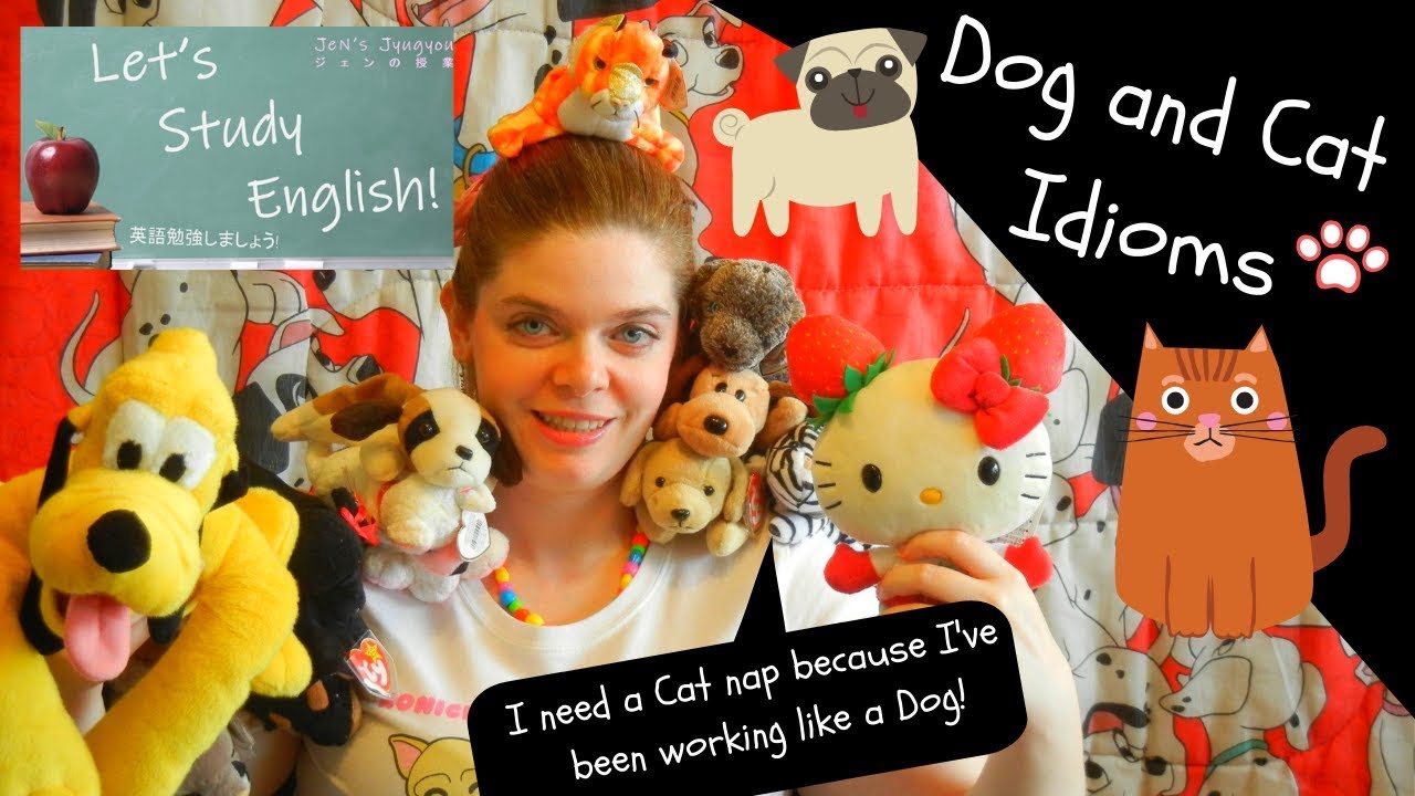 15 Dog and Cat Idioms! Increase English Fluency with Animal Idioms!