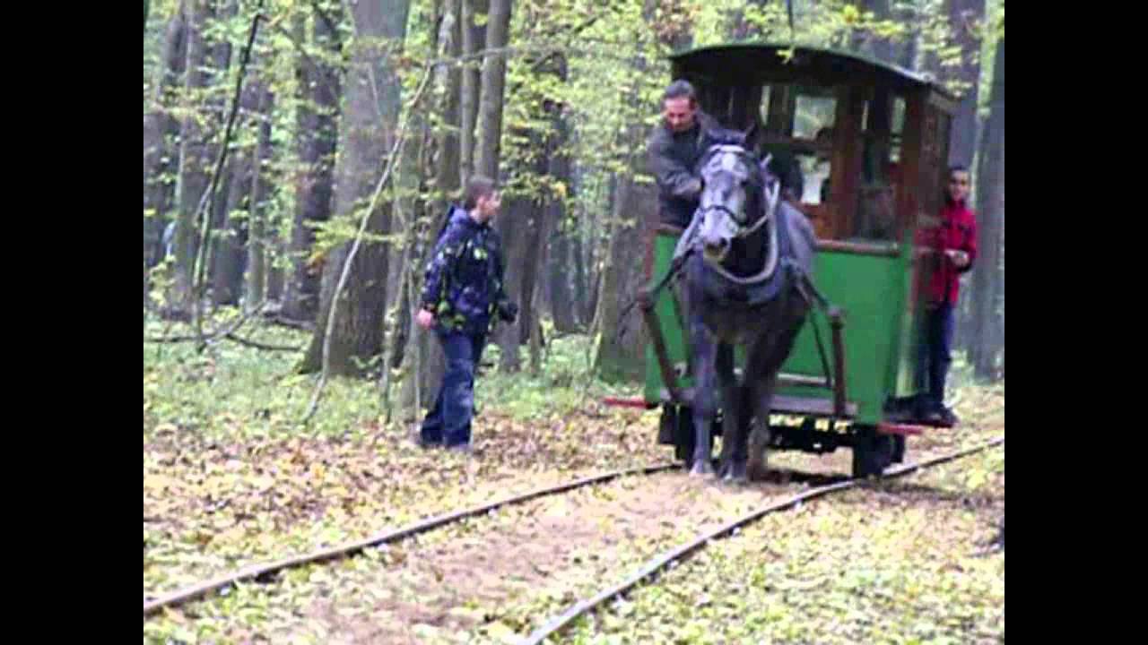 Z życia kolejki konnej w Mrozach