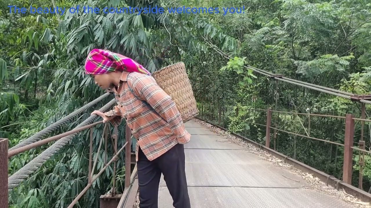 real videos about rural life beautiful scenery that many people like