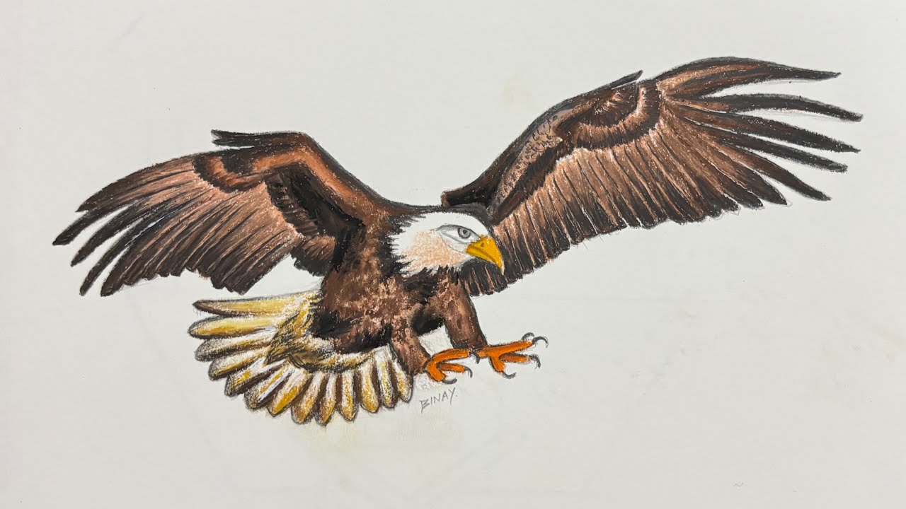 How to Draw Eagle | Bald Eagle Drawing with Oil Pastels 