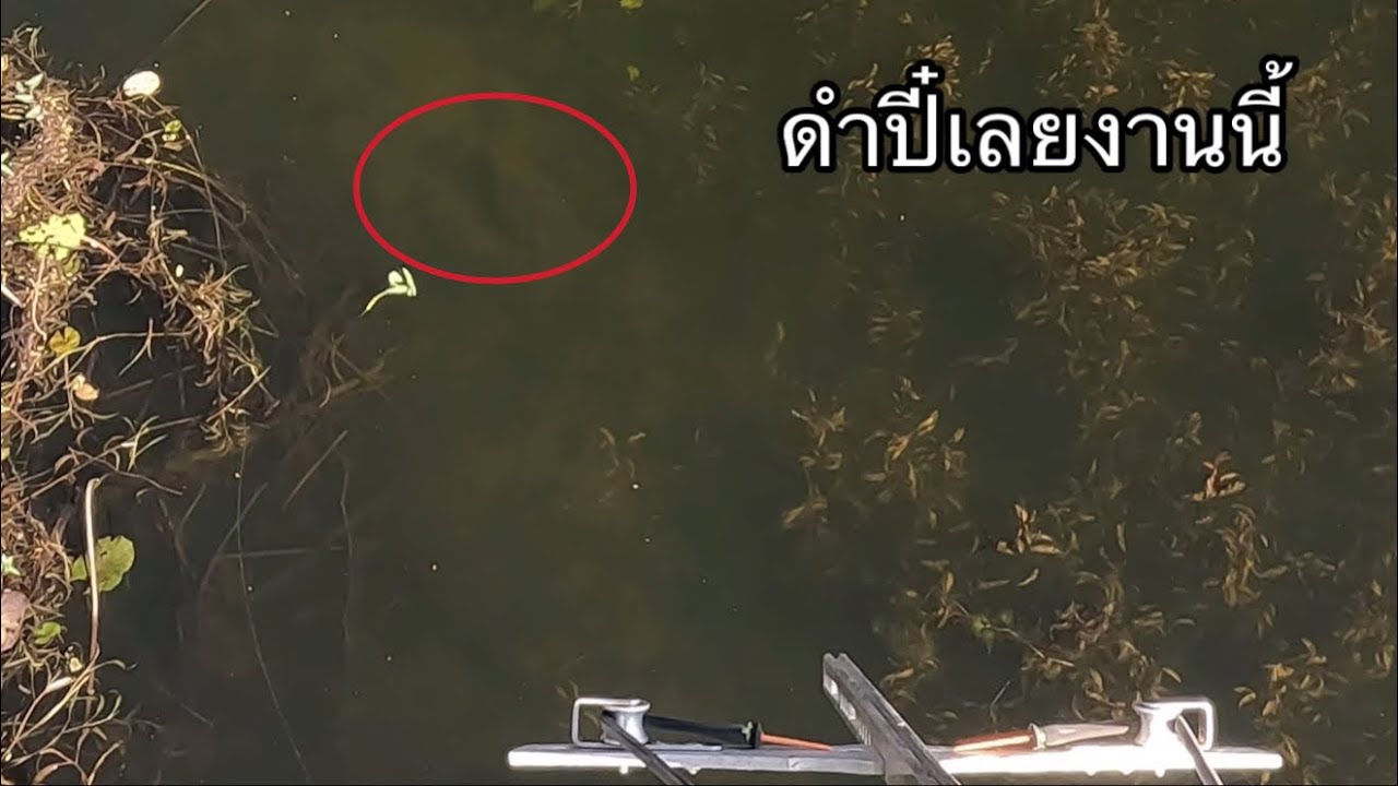 ลุยอ่างลำเชียงไกร