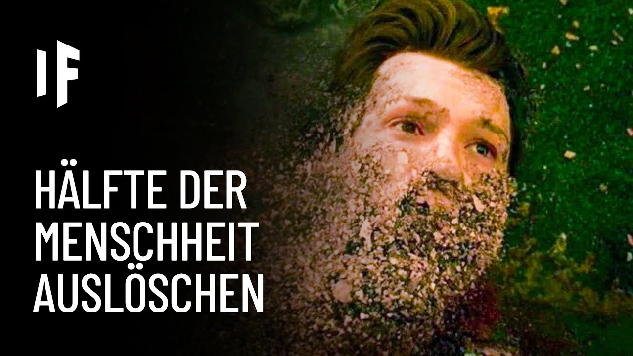 Was wäre, wenn die Hälfte der Menschen plötzlich verschwindet?