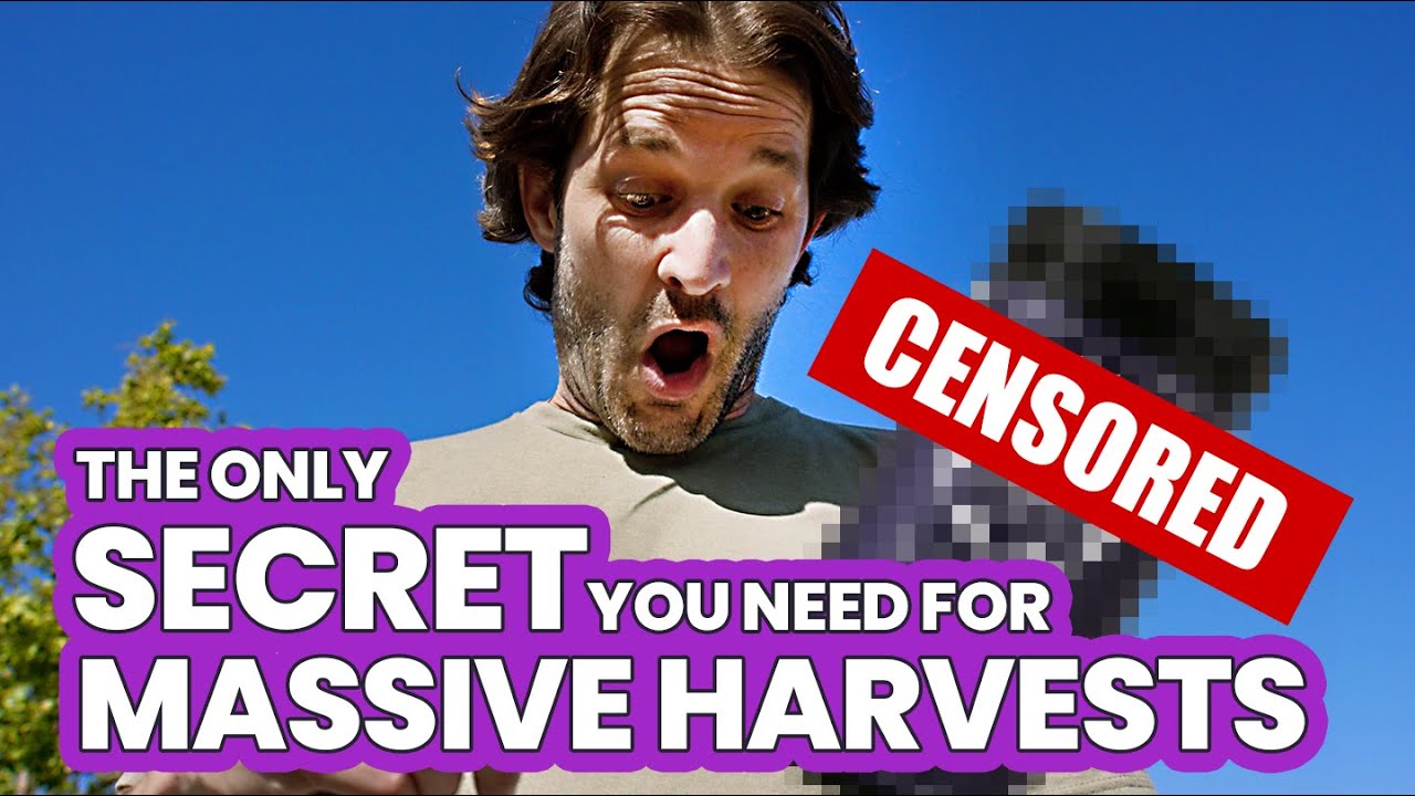 All Other Garden Tips & Plant Nutrients are BULLSH*&mdash;This SECRET is ALL you need 4 MASSIVE HARVESTS!🤫