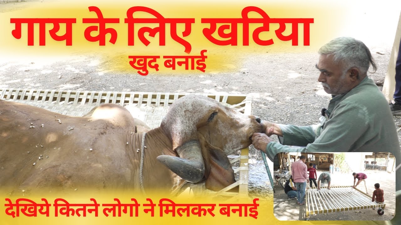 देखिये कितने लोगो ने मिलकर बनाई गाय के लिए खटिया | Gir Gau Jatan | Rameshbhai Rupareliya