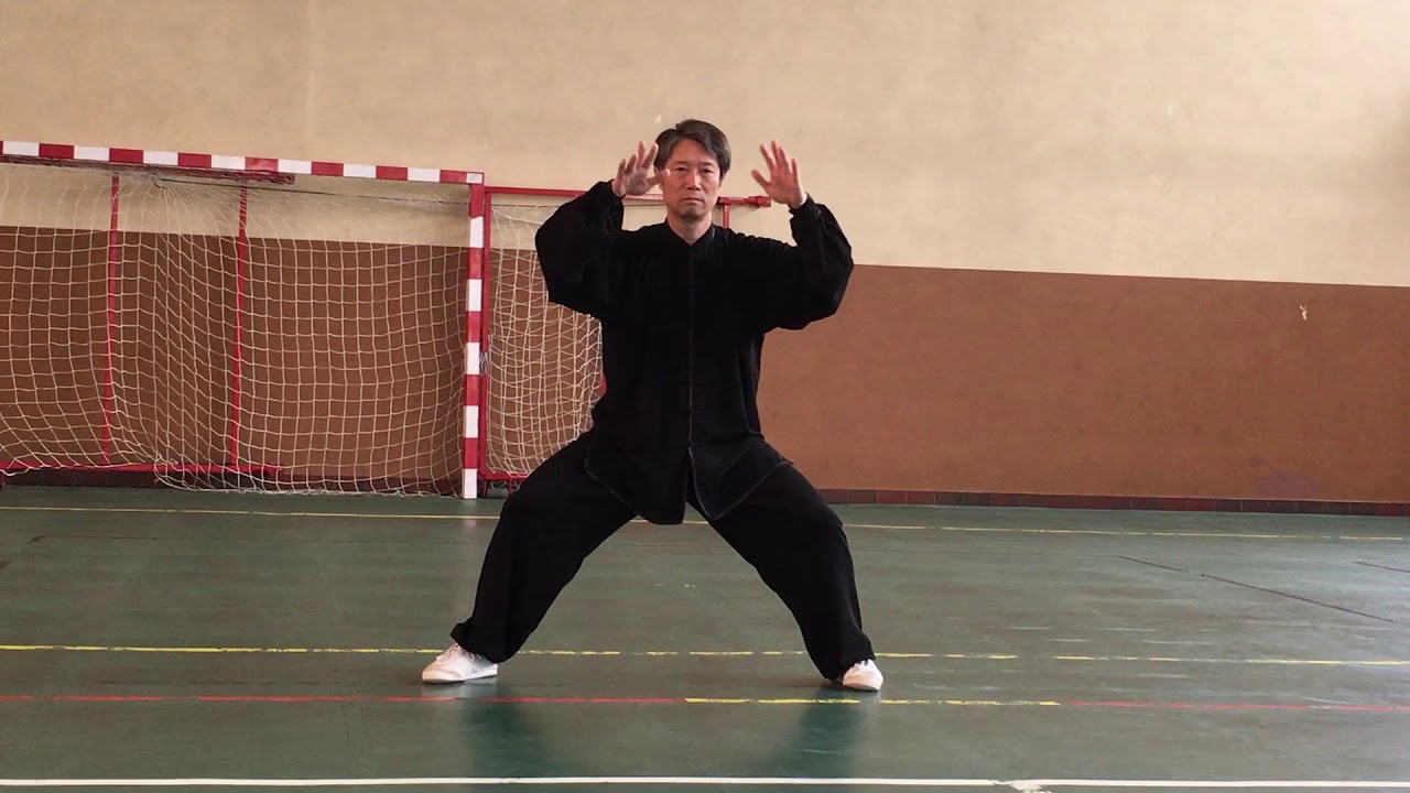 2019年フランス、パリ四正太極拳前半