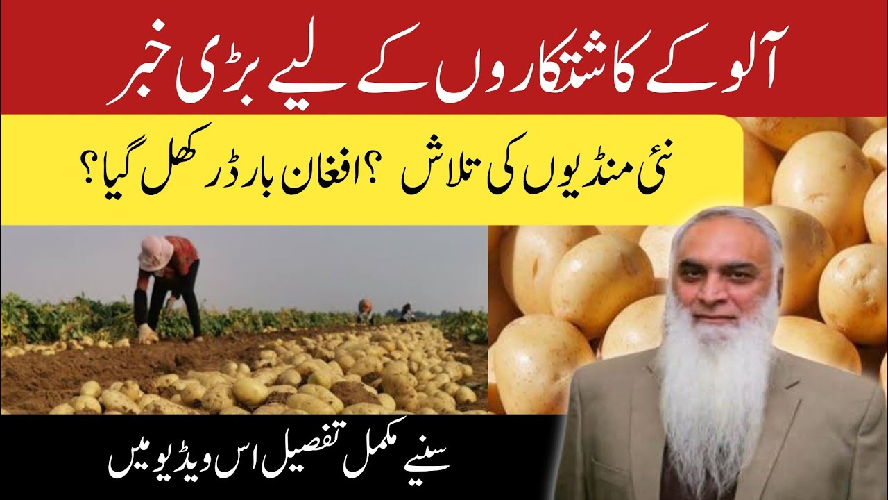 Aloo Kashtkaron Ke Liye Bari Khabar | Aloo Ki Qeemat Mein Bara Izafa | Farmers Good News