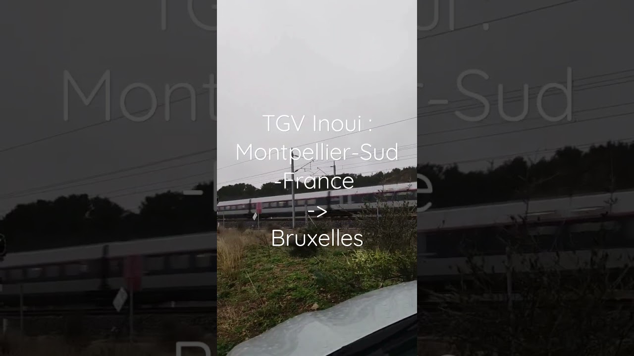 Spot CNM 1 : TGV Inoui R&eacute;seau Montpellier Sud France - Brussels #train #tgv #sncf #inoui