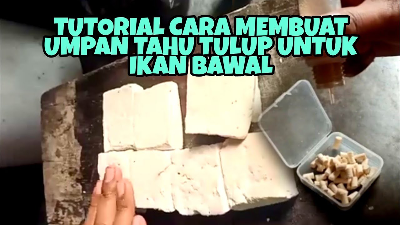Tutorial Membuat Umpan Tahu Tulup Untuk Umpan Ikan Bawal