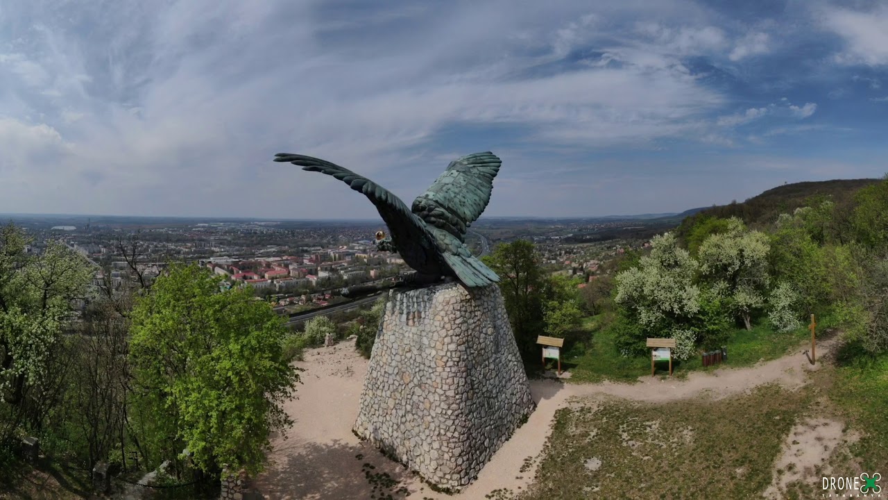 Turul Madár