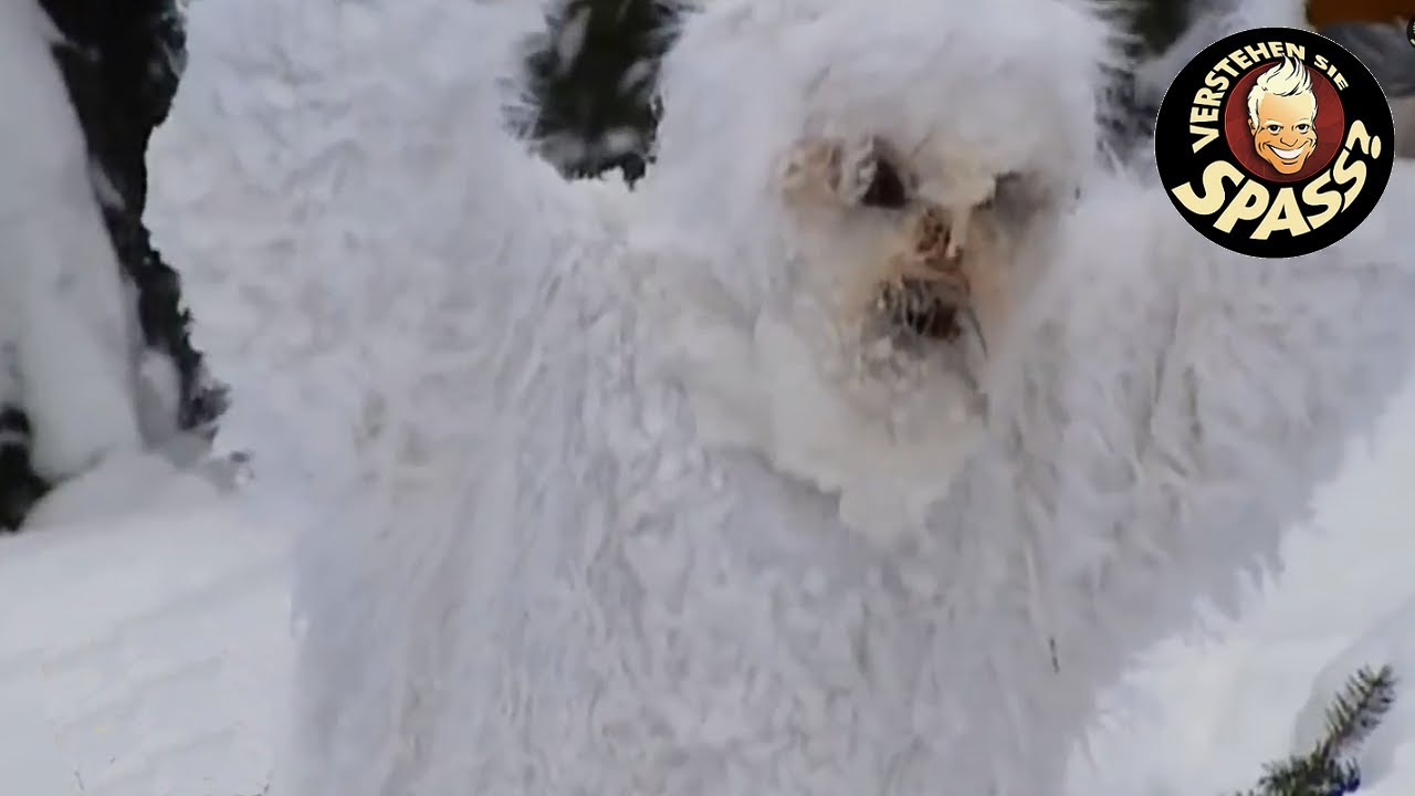 Der Yeti | Verstehen Sie Spaß?
