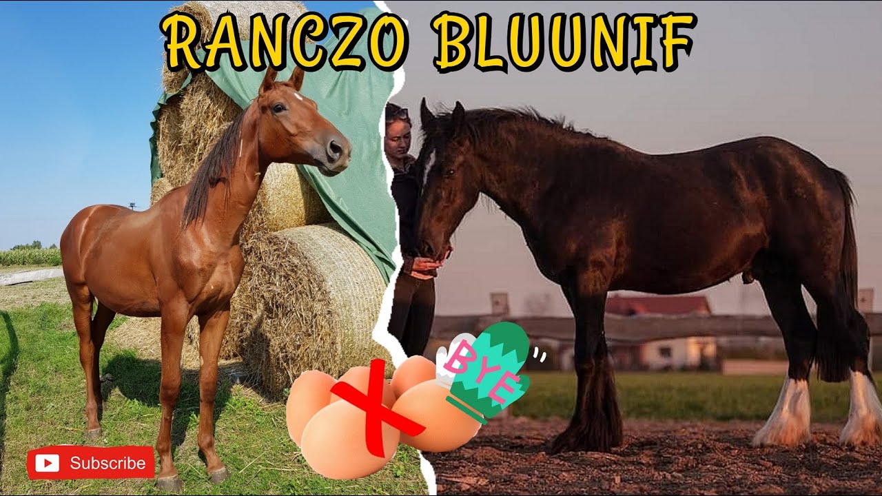 TIVENTO JUŻ NIE JEST OGIEREM