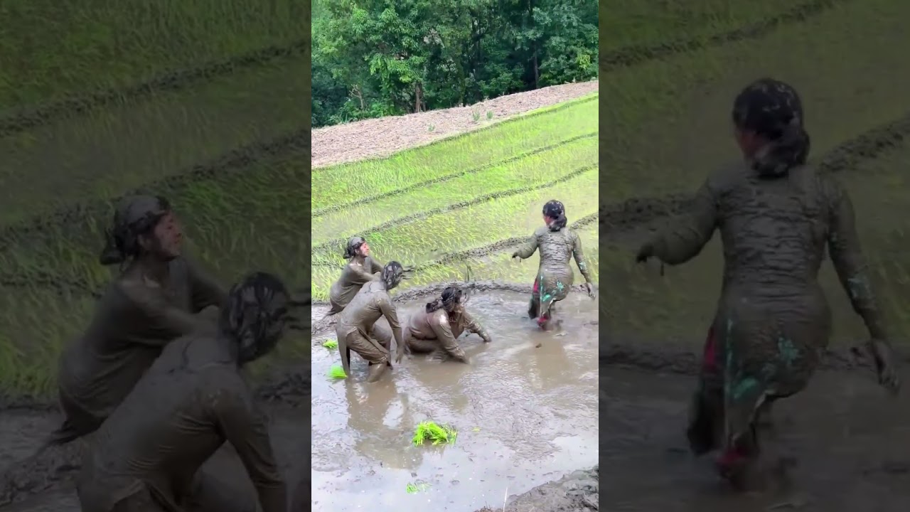 आज मौउली माया