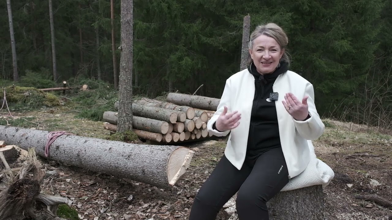Muutama ajatus viraaliksi nousseesta puunkaatamisvideosta sek&auml; rohkaisua toistemme kannustamiseen 🥰