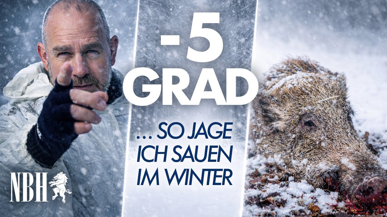 −5 Grad, Nacht & Sauenkontakt 🐗❄️ | So jage ich Wildschweine im Winter
