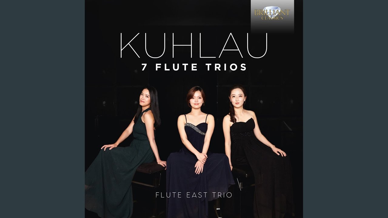 Trio in E Minor, Op. 86 No. 1: IV. Rondo. Allegro