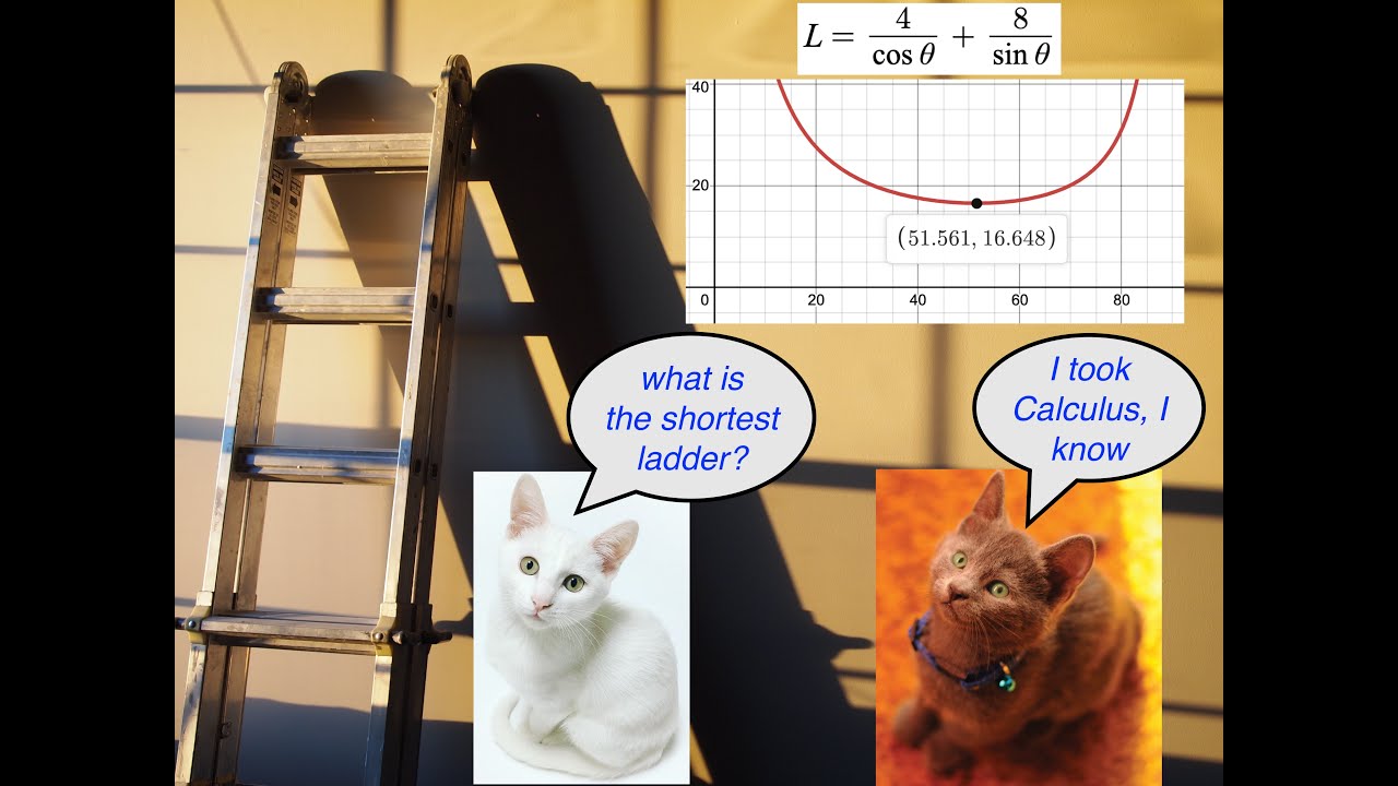 Optimization problem 10 (Ladder)