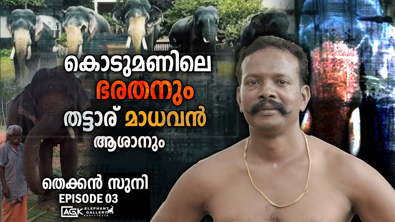 ആനപ്പണിയിൽ ആളെ വെല്ലാൻ ഒരു ആനകാരനും കൊല്ലം ജില്ലയിൽ ഇല്ല | തെക്കൻ സുനി | THEKKAN SUNI | EPISODE 03