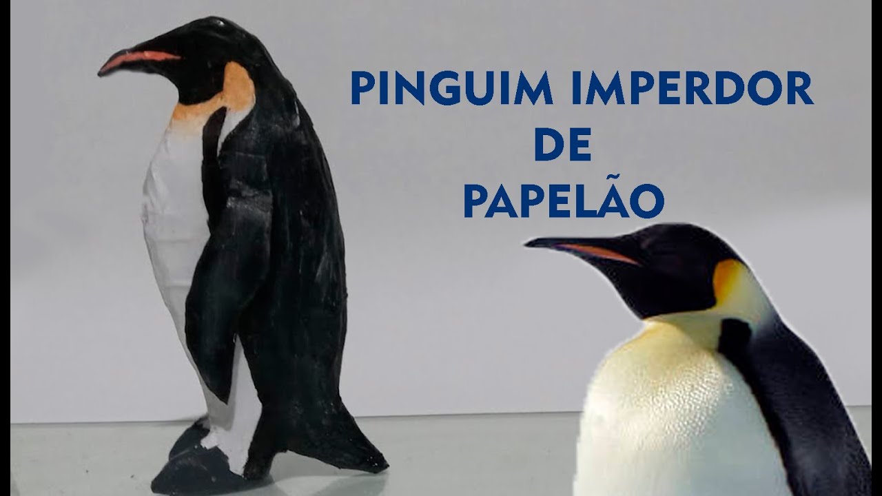 Como fazer pinguim imperador de papelão