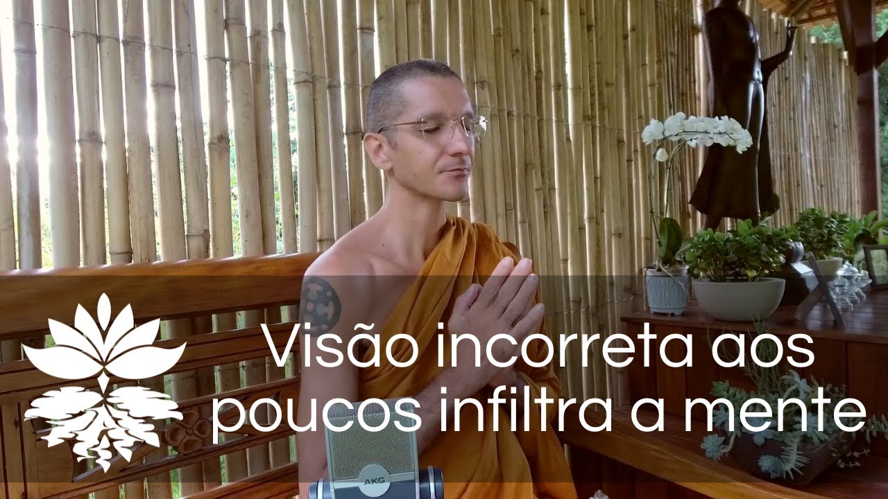 Respeite sua sabedoria