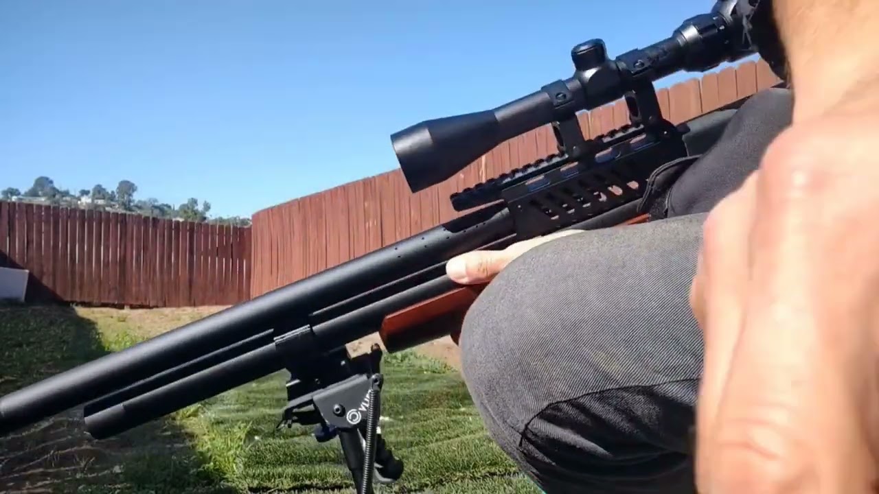 pinty Striker 0.22 cal, shots count per fill.