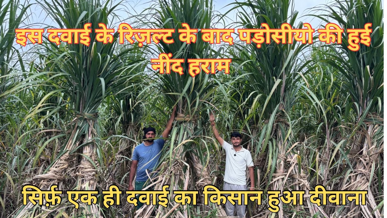 इस दवाई के रिज़ल्ट के बाद किसान ने की पड़ोसियों की नींद हराम ? Iil tractor brand Centran insecticide