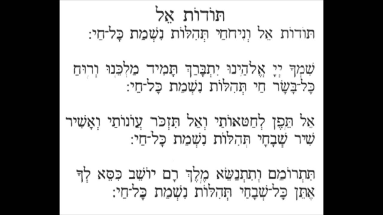 S&P Songs: Todot El - Limmud 2014