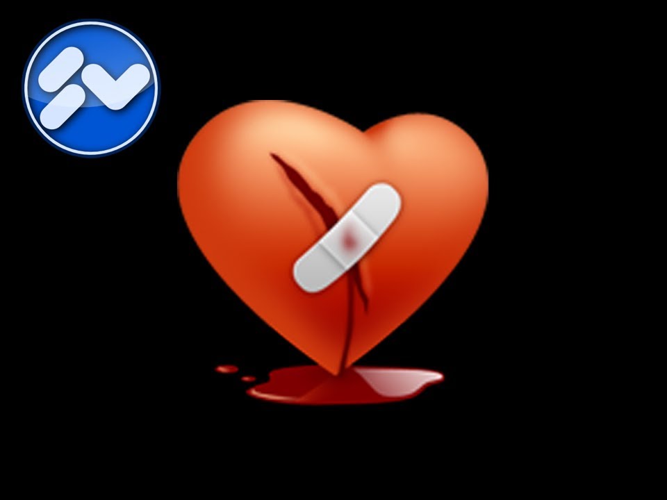 Die Heartbleed Katastrophe