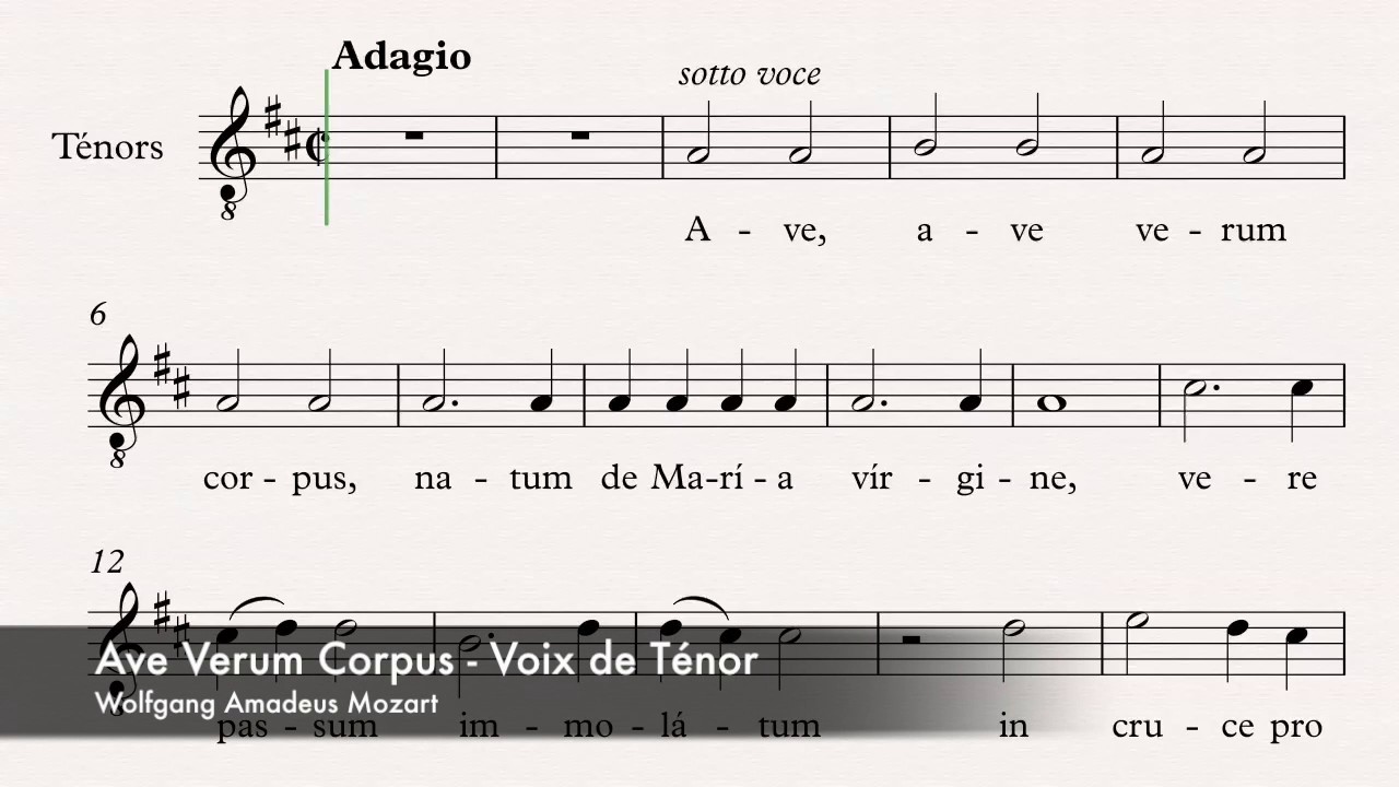 Mozart, Wolfgang Amadeus - Ave Verum Corpus - Guide voix - Ténor