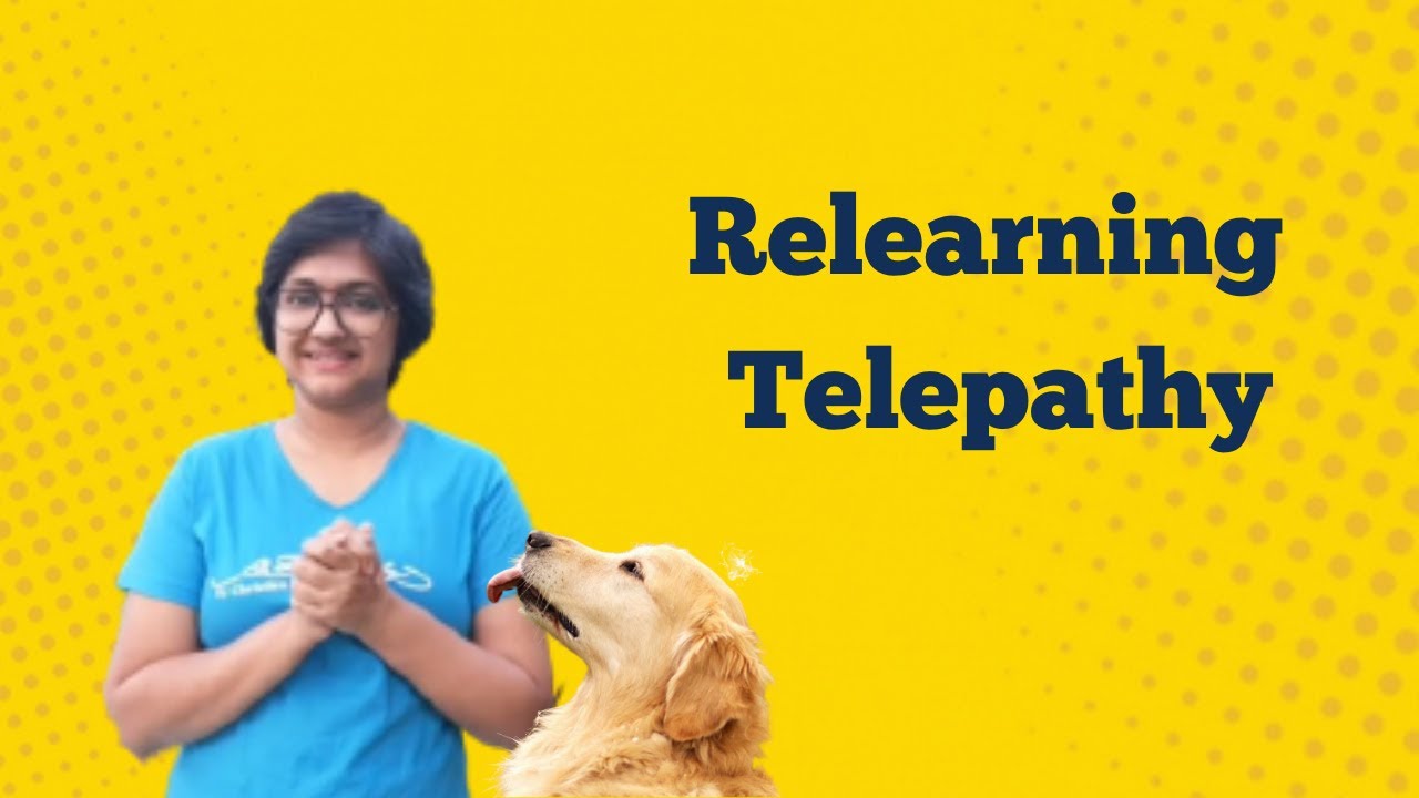 Animal Communication Basics: Relearning Telepathic Communication