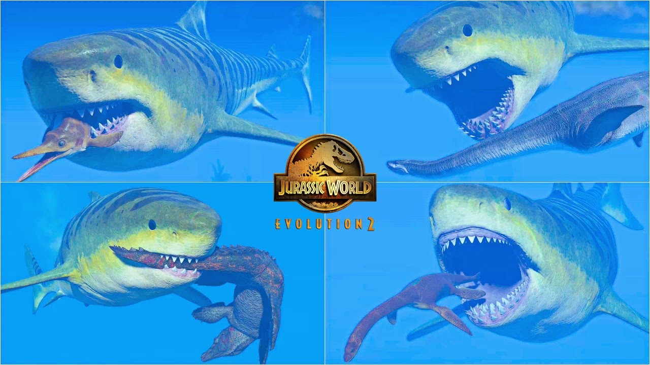 MEGALODON HUNTING ANIMATIONS VS ALL MARINE REPTILES | JURASSIC WORLD EVOLUTION 2