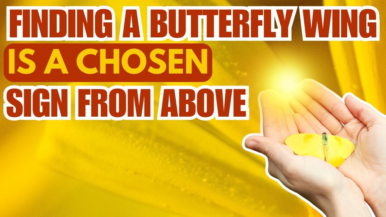 Finding a Butterfly Wing Spiritual Meaning