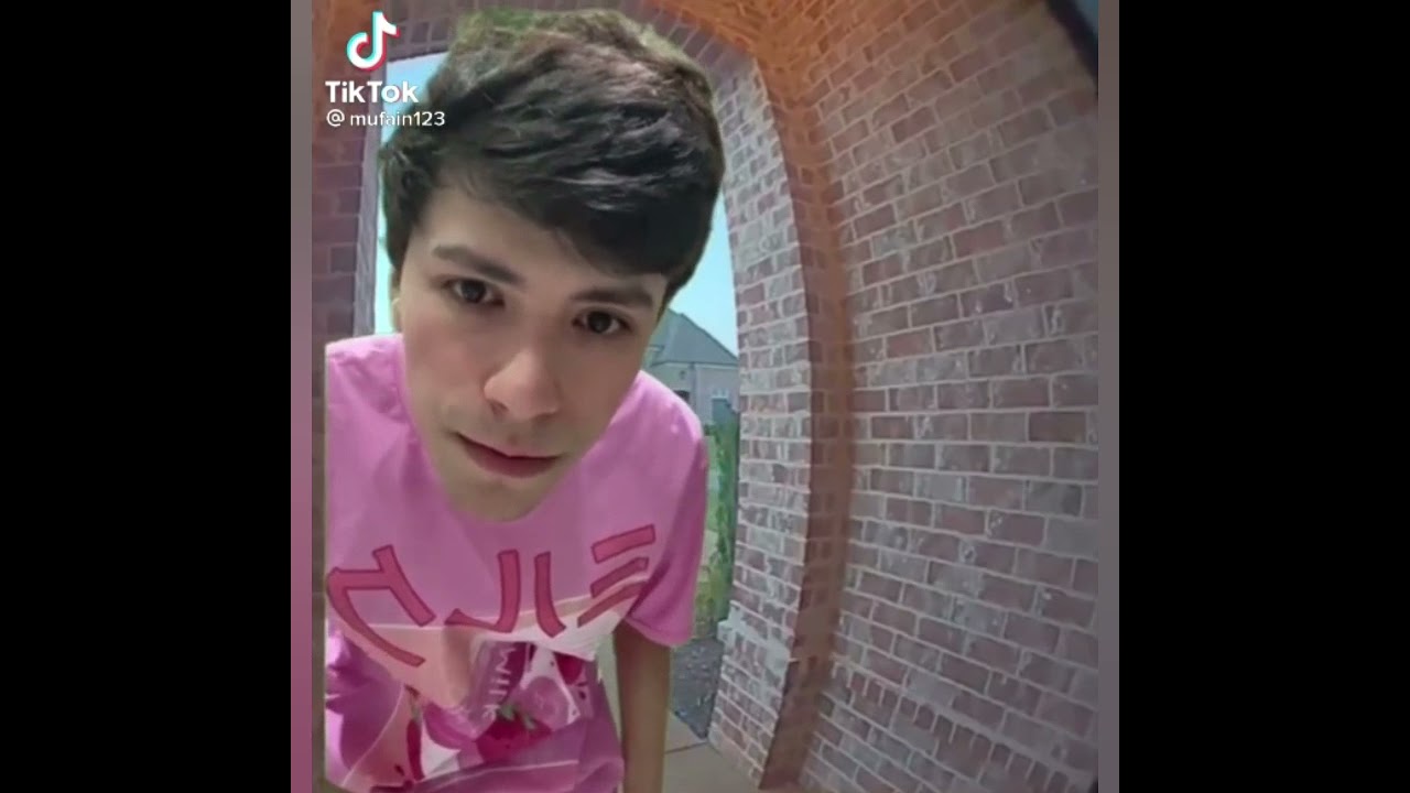 dream smp tiktoks I watch instead of doing homework
