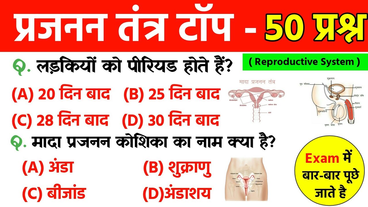 प्रजनन तंत्र (Reproductive System) अति-महत्वपूर्ण प्रश्न | Biology Important questions | Science GK