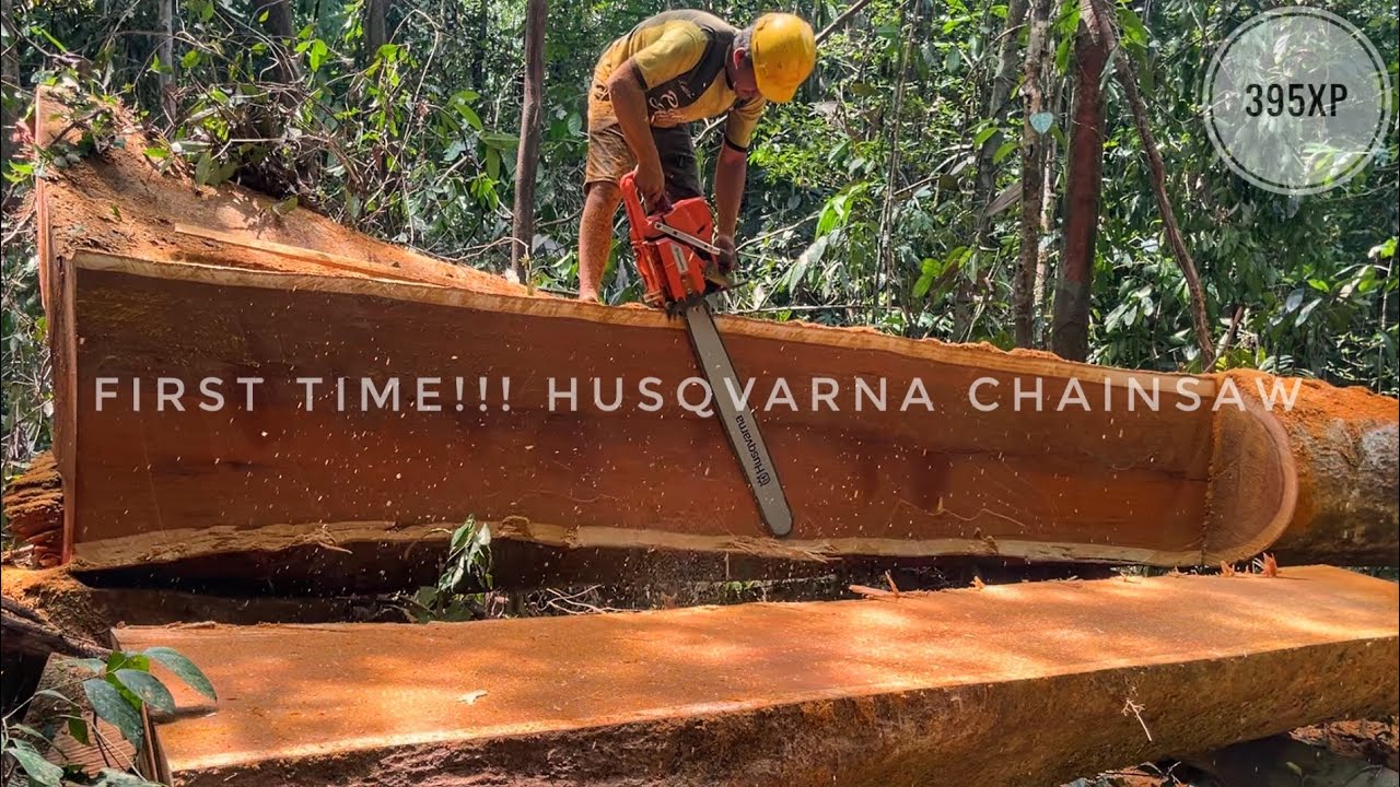 Hard Wood‼️ Pertama kali membuat balok & papan pakai mesin gergaji Husqvarna 395 xp dan Stihl ms 382