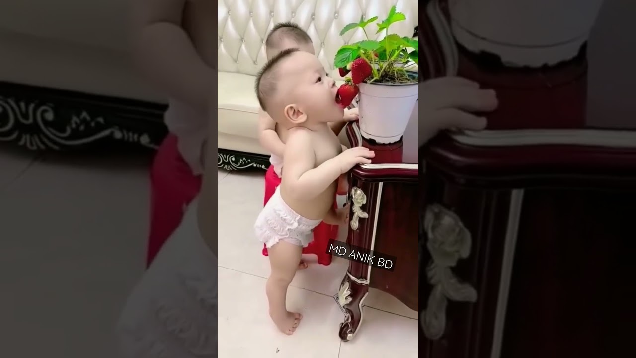 #short video #strawberry pagol Choto Babu #🍓🍓🍓🍓🍓🍓😳😳😳🤓🤓🧐🧐