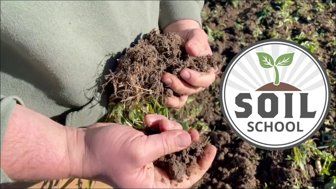 Soil School: How healthy soils respond to weather events