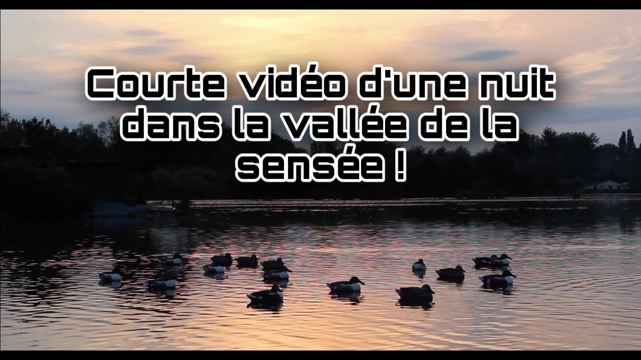 Courte vidéo d'une belle nuit dans la vallée de la sensée ! - Romain Chasse Passion