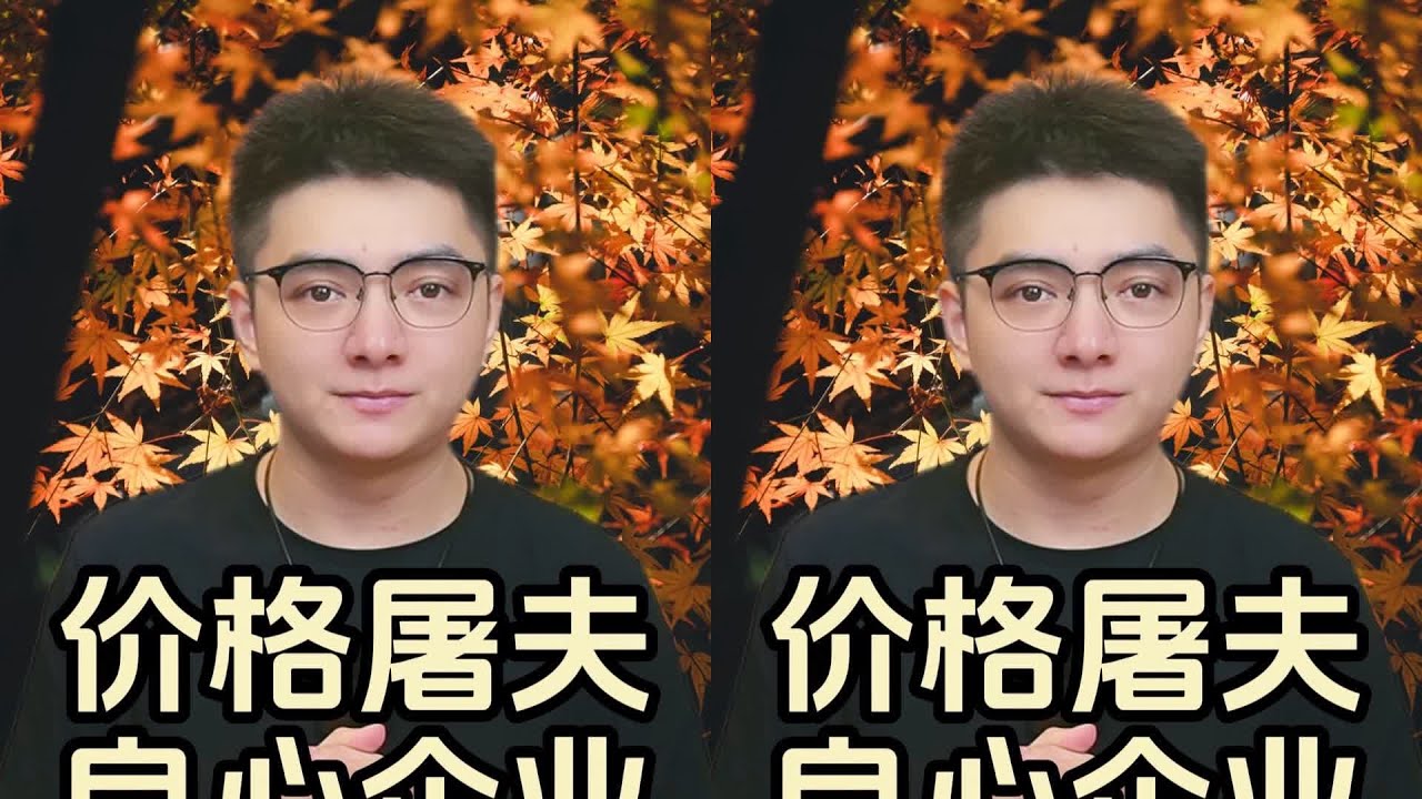 每個行業都有一個幫消費者把價格打下來的良心企業！#娛樂#deepseek#游戲#逆 #政治 #国际局势 #巴以冲突 #以色列 #中国