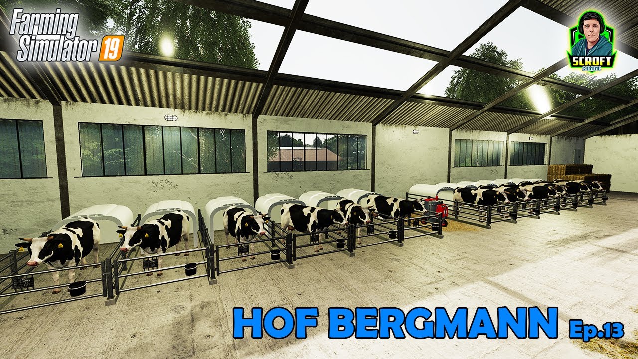 The Wait Is Over, They've Grown! | FS19 | Hof Bergmann🐂(1.0.0.8) Ep.13