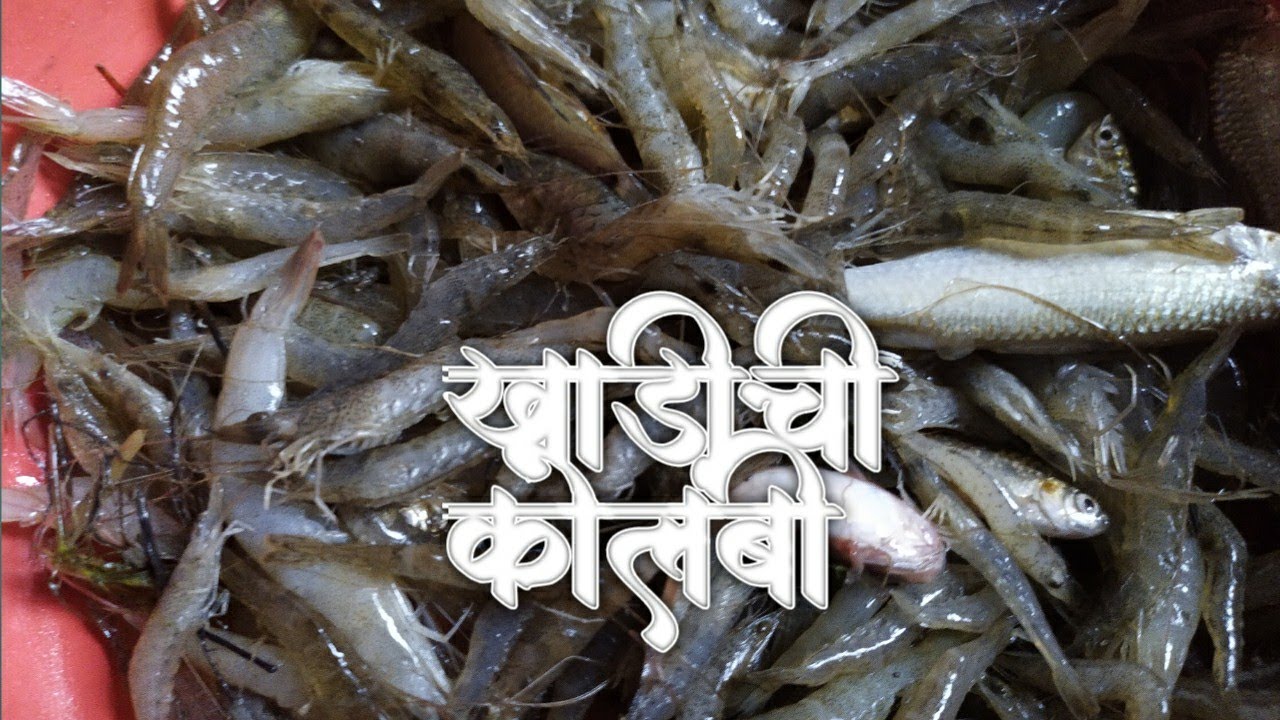 khadichi kolambi | खाडीची कोलंबी | agari koli style | Marathi paddhat | spicy zinga