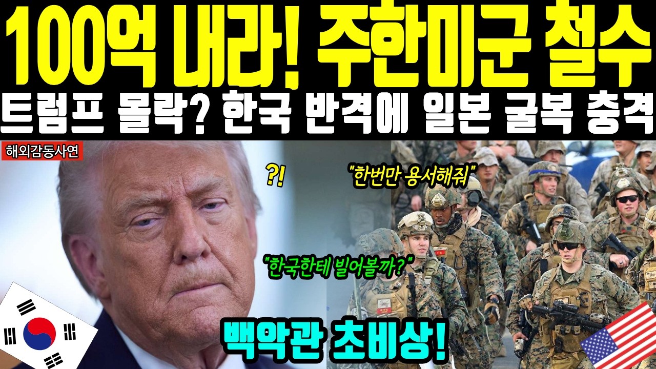 [해외감동사연] 주한미군 빼라고 갑질하던 트럼프에 발칵 뒤집힌 백악관! 히든카드 꺼낸 한국에 미국 완전 굴복 ..