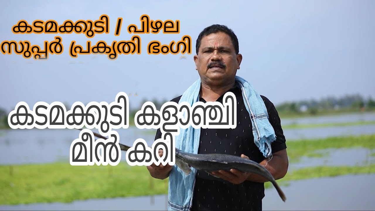 Kadamakkudy Fish Curry l കടമക്കുടി കളാഞ്ചി മീൻ കറി |  പിഴല യുടെ  പ്രകൃതി സൗന്ദര്യം  |EP-59|
