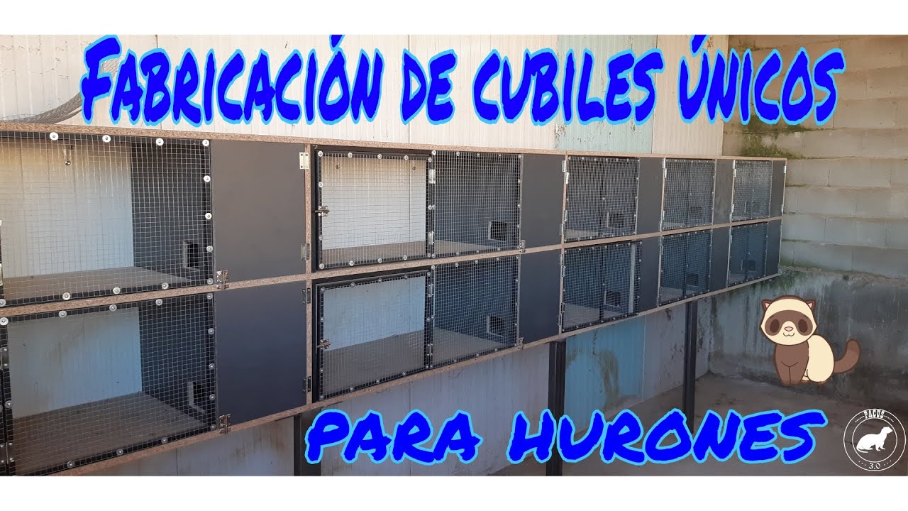 Fabrico unos cubiles únicos para mis hurones