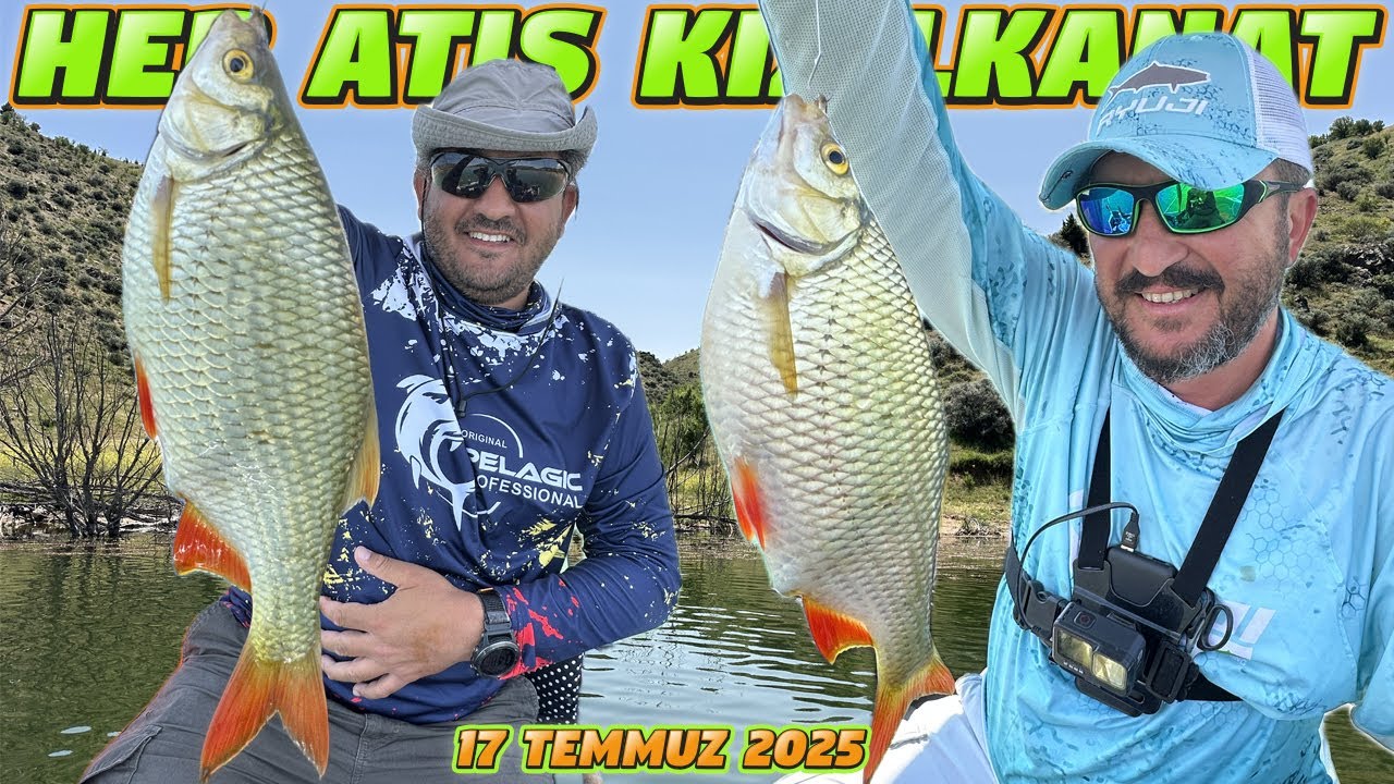 Kızılkanat Coştu.Her Atış Bir Kızılkanat.Şamandıralar Kıpır Kıpır.Barajı Kızılkanat Basmış…