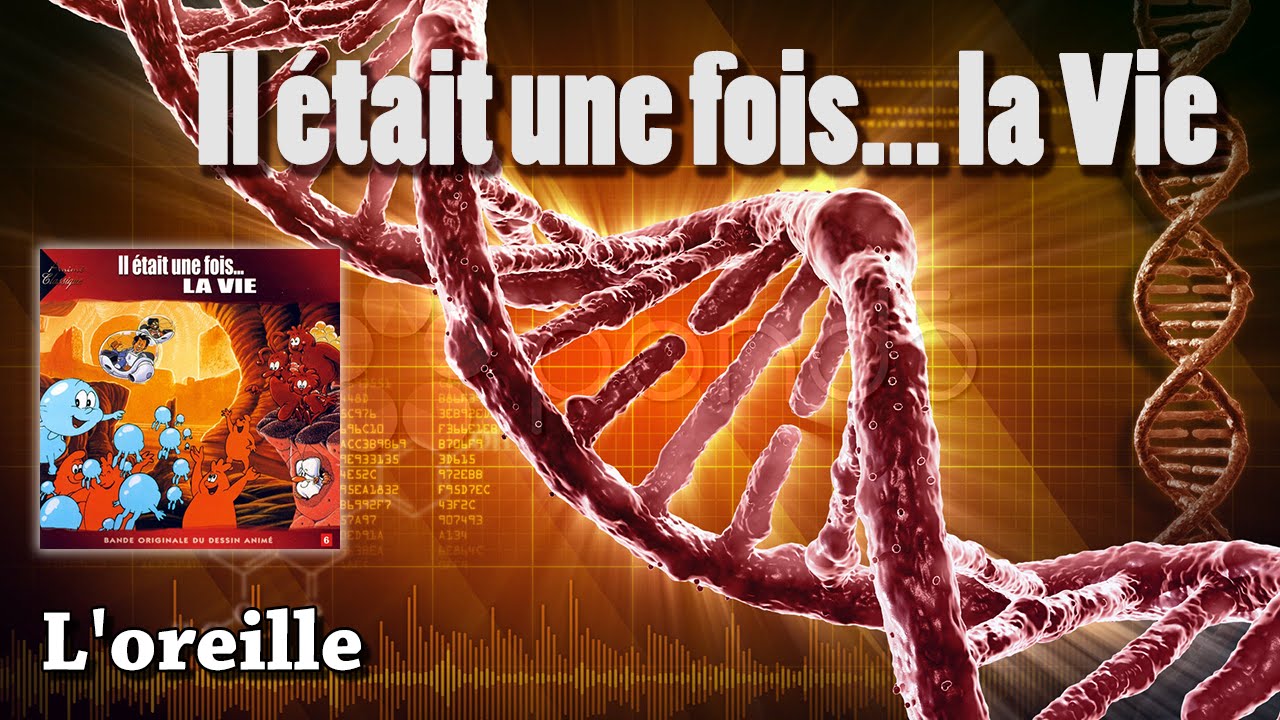 L'oreille - Il était une fois... La Vie (HQ)